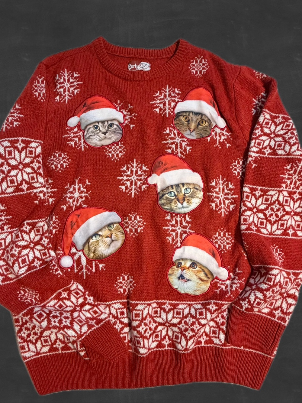 Cat lover Christmas sweater real face image appliqué snowflakes Santa hat red
